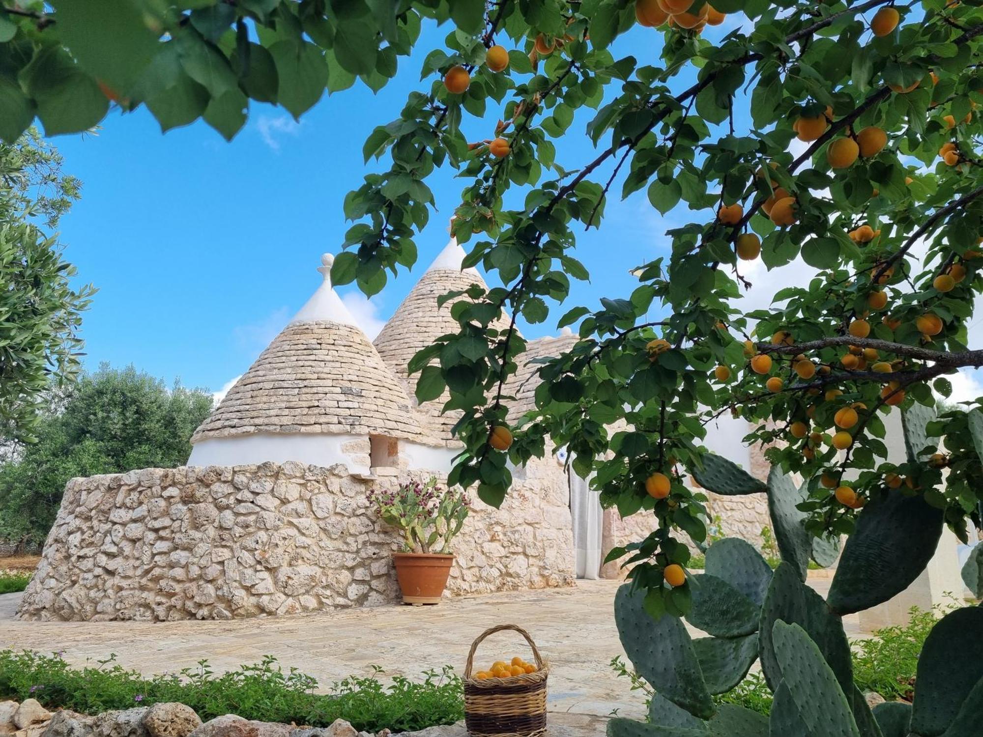 Trulli Di Spinaruta Bed & Breakfast Grottaglie Dış mekan fotoğraf